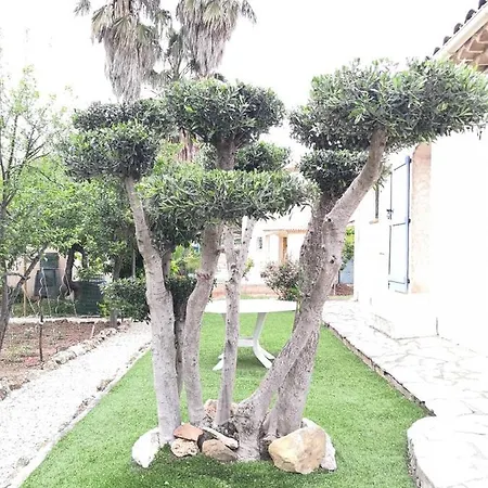 Vakantiehuis Le Neflier Fréjus